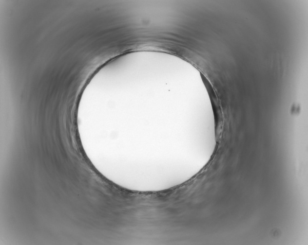 X0000090430289200708102011