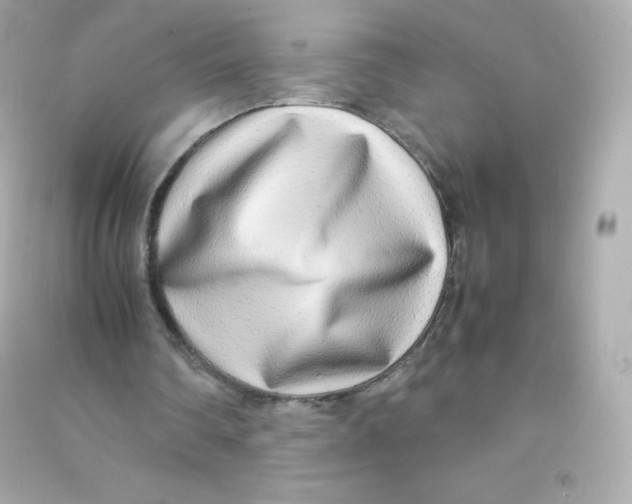 X0000090430290200708102011