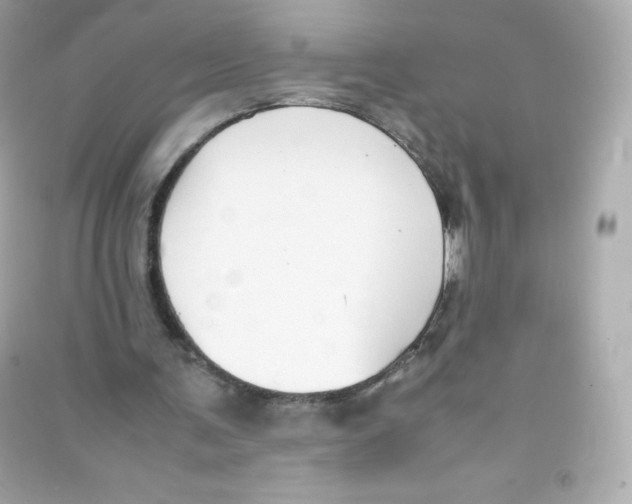 X0000090430291200708102011