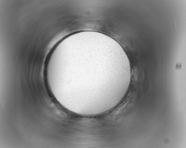 X0000090430292200708102011