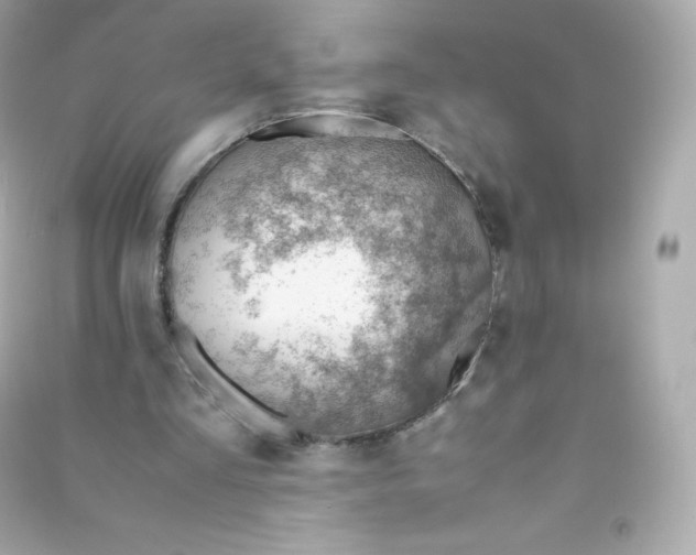 X0000090430293200708102011