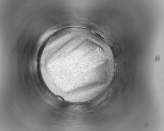 X0000090430294200708102011