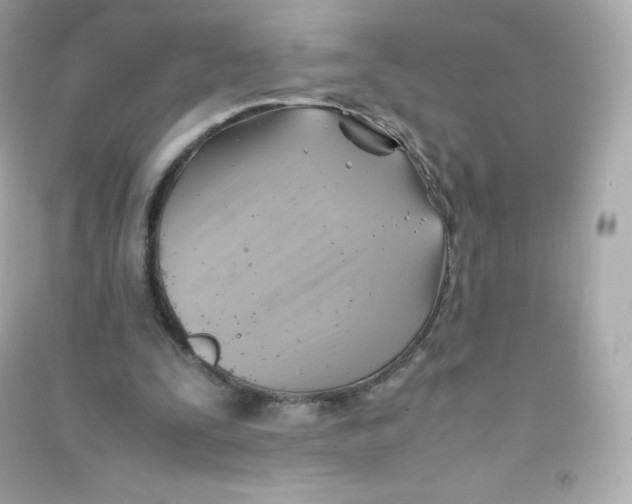 X0000090430295200708102011