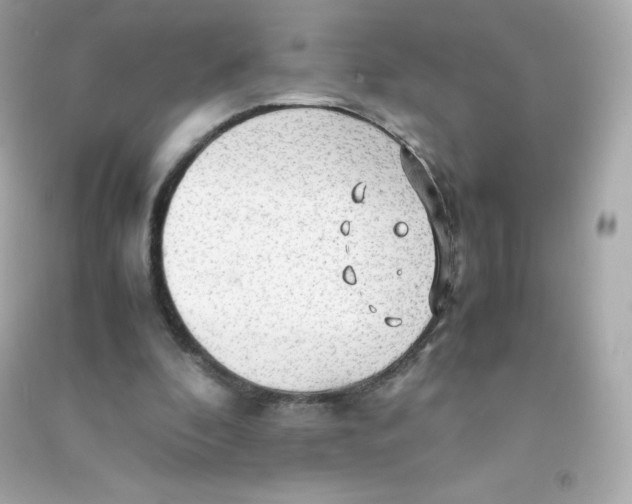 X0000090430296200708102011