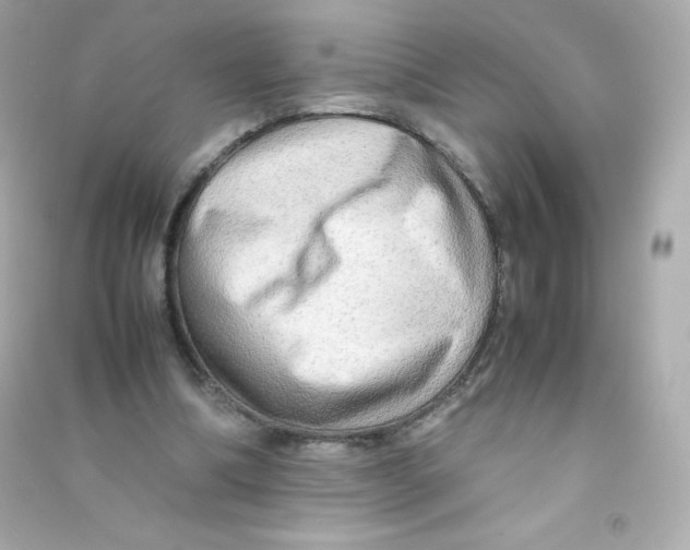 X0000090430298200708102011