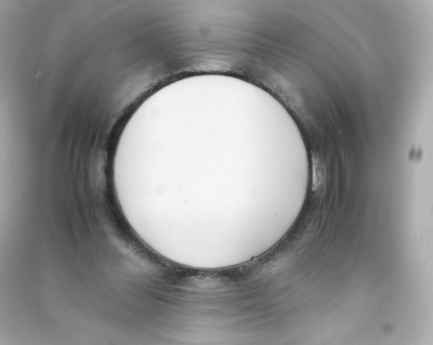 X0000090430300200708102011