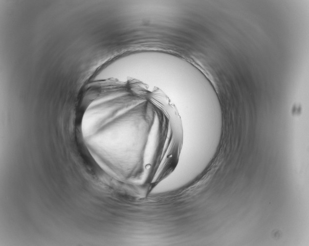X0000090430301200708102011