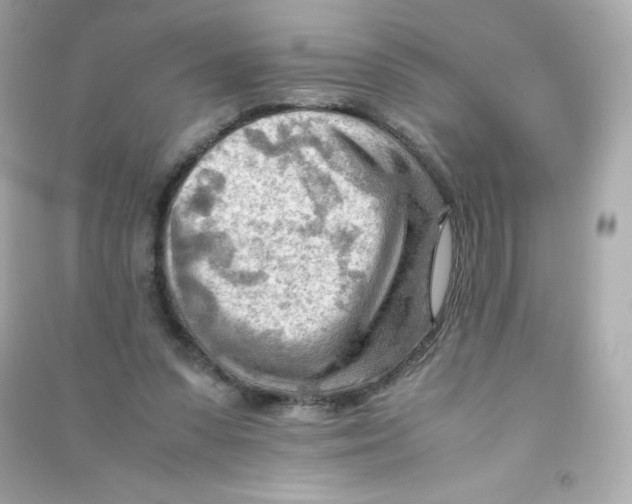 X0000090430303200708102011