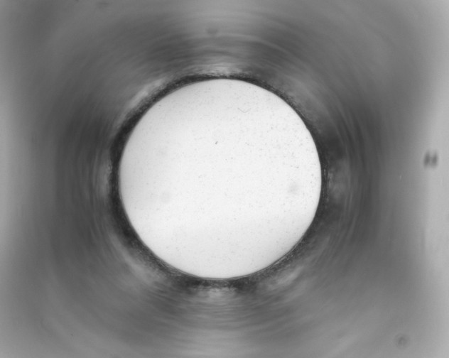 X0000090430304200708102011