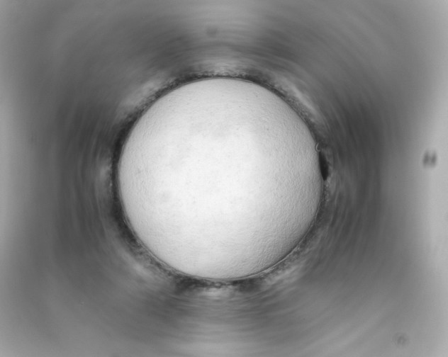 X0000090430306200708102011