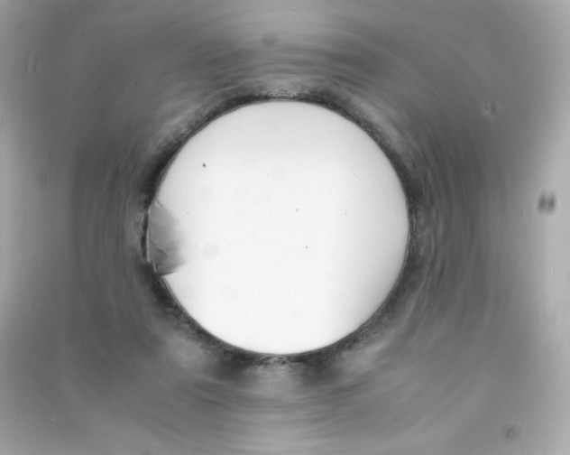 X0000090430307200708102011