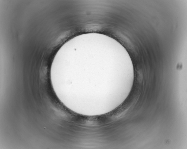 X0000090430308200708102011