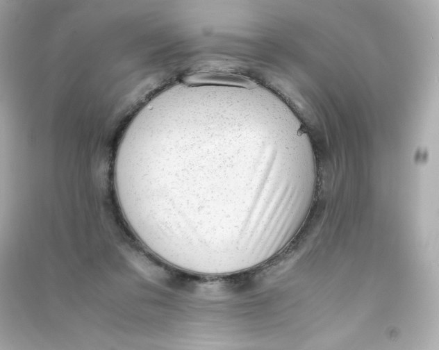 X0000090430309200708102011