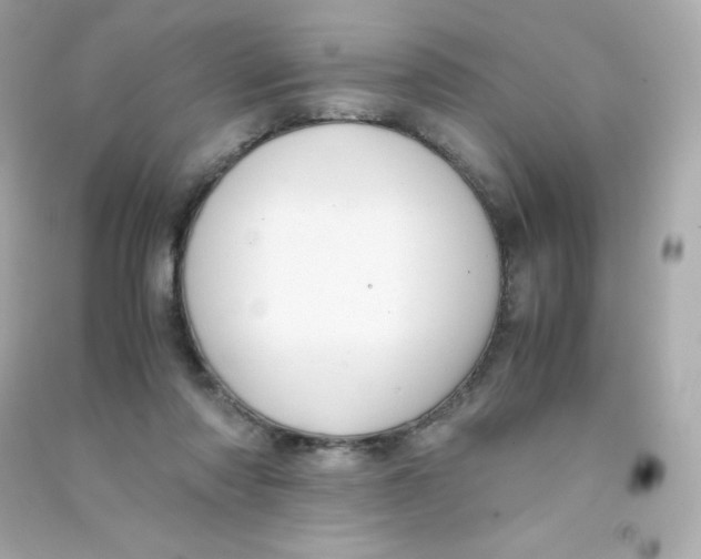 X0000090430310200708102011