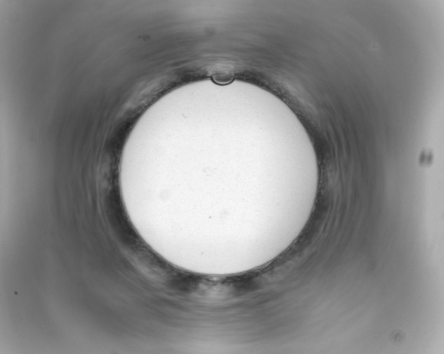 X0000090430311200708102011