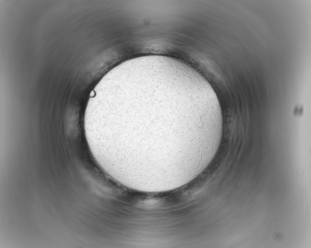 X0000090430312200708102011
