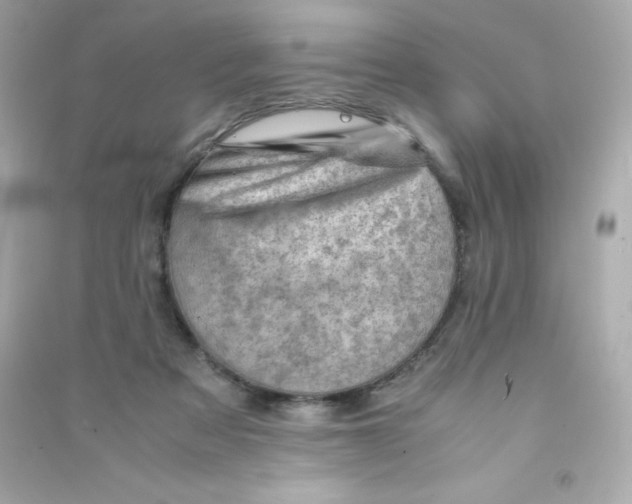X0000090430313200708102011