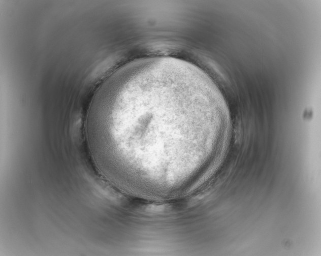 X0000090430314200708102011