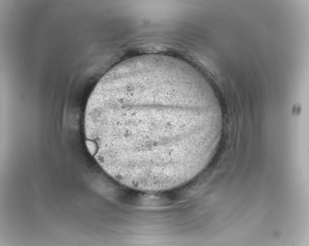 X0000090430315200708102011