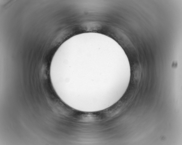 X0000090430316200708102010