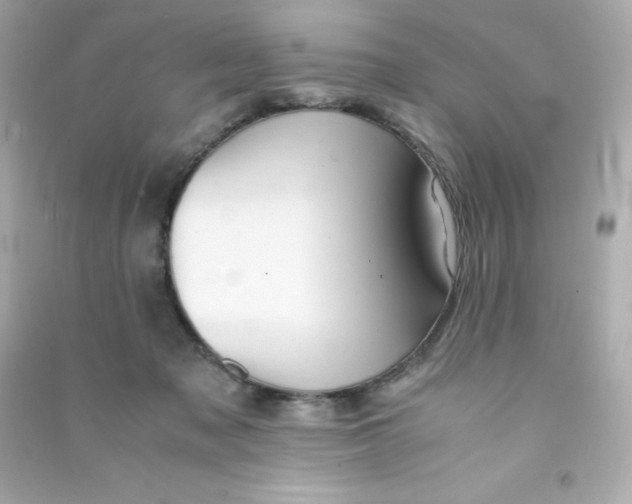 X0000090430317200708102010