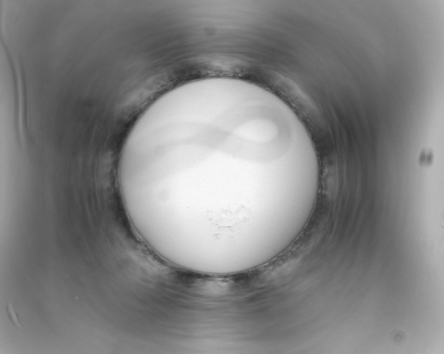 X0000090430318200708102010