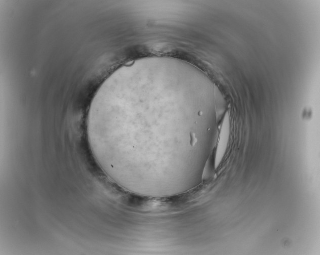 X0000090430319200708102010
