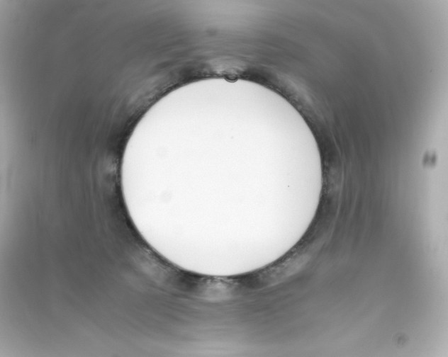 X0000090430321200708102010