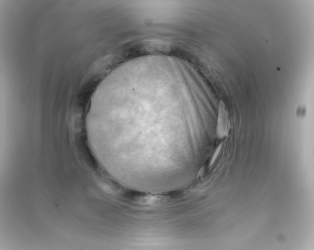 X0000090430323200708102010