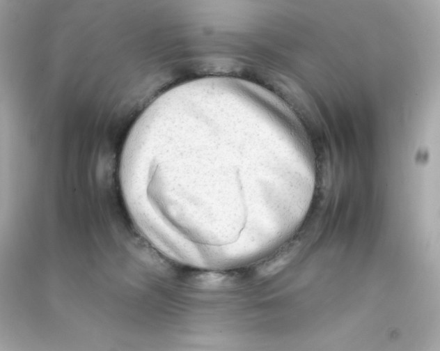 X0000090430326200708102010