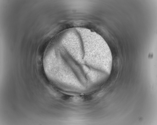 X0000090430327200708102010