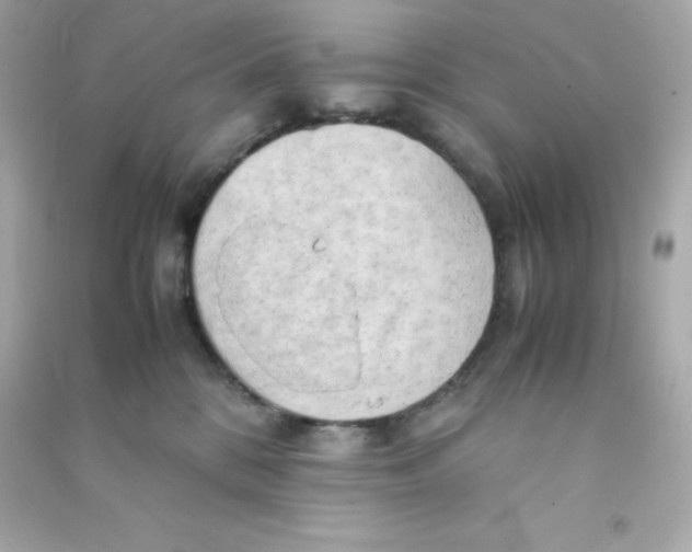X0000090430328200708102010