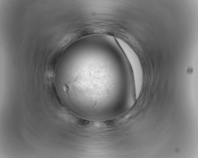 X0000090430329200708102010