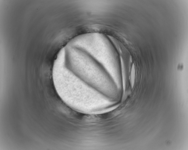 X0000090430331200708102010