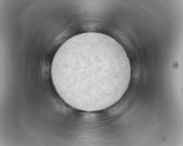 X0000090430332200708102010