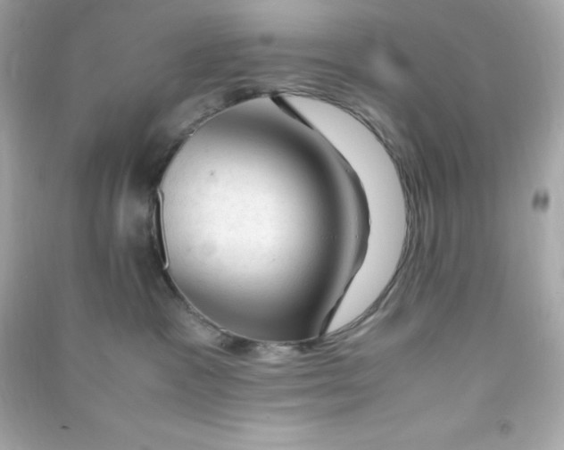 X0000090430333200708102010