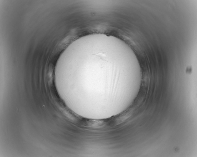 X0000090430334200708102010