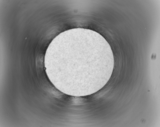 X0000090430336200708102010