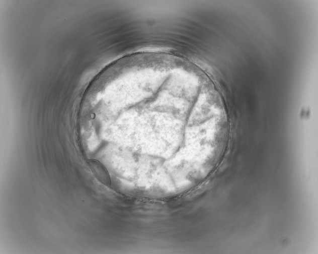 X0000090430337200708102010