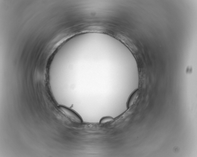 X0000090430338200708102010