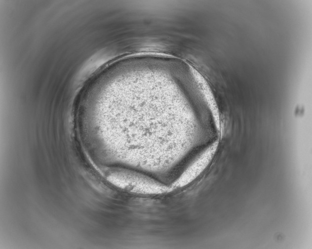 X0000090430339200708102010