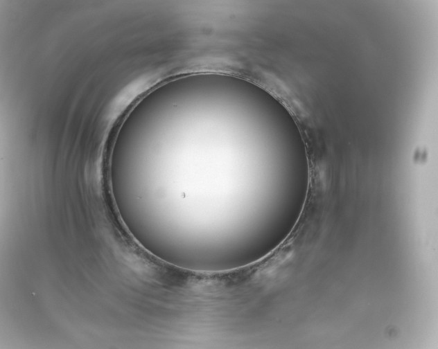 X0000090430340200708102010
