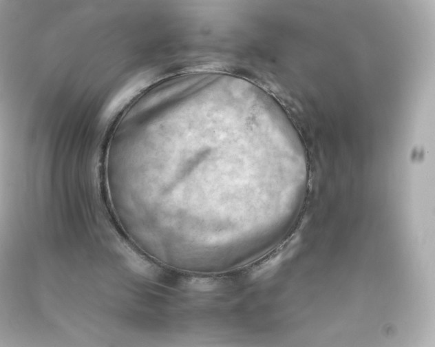 X0000090430341200708102010