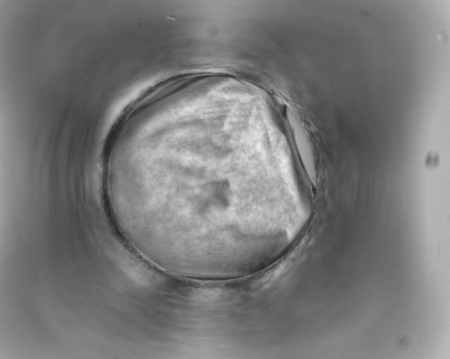 X0000090430342200708102010