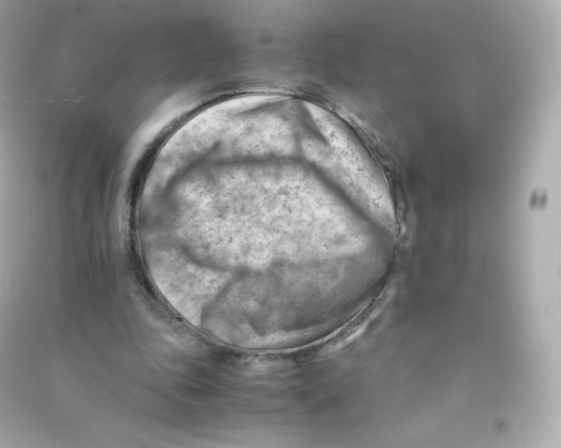 X0000090430343200708102010