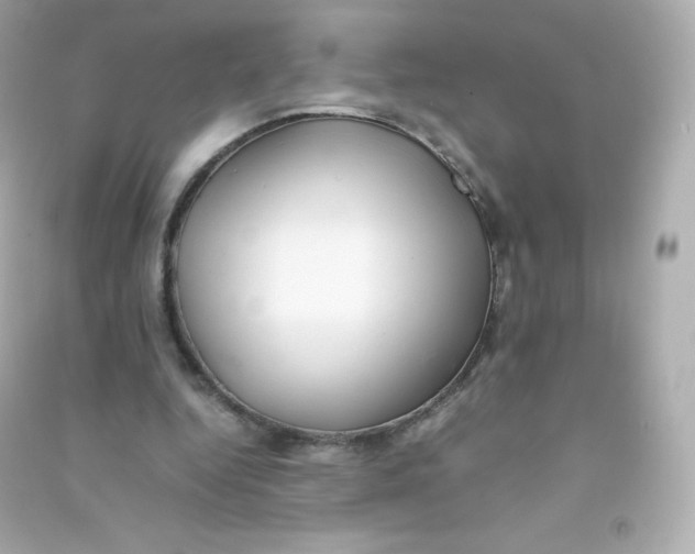 X0000090430344200708102010