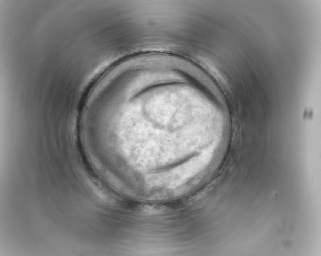 X0000090430346200708102010