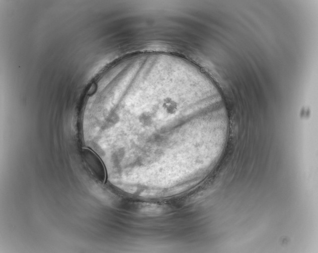 X0000090430347200708102010