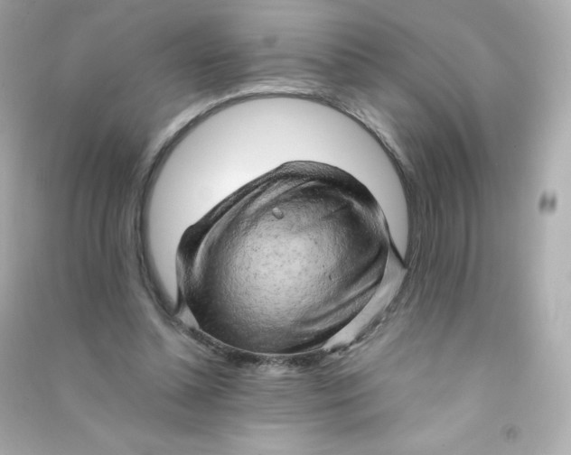 X0000090430348200708102010
