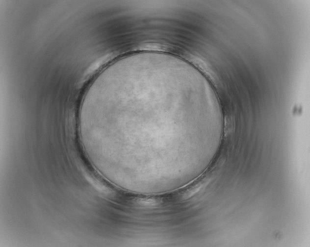 X0000090430349200708102010